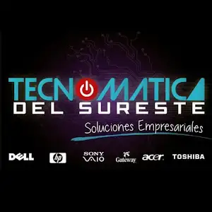 reparar laptop Tecnomatica Del Sureste.
